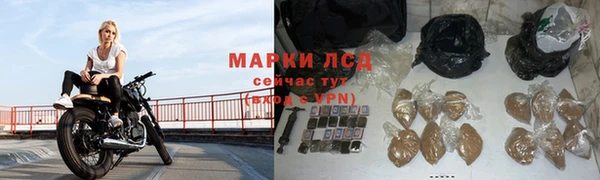 гидропоника Горняк