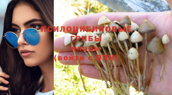 молекула духа Горно-Алтайск