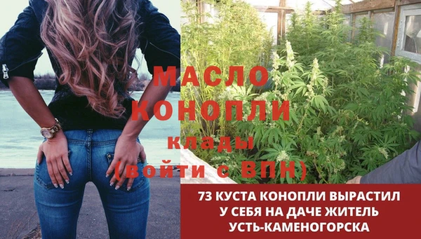 молекула духа Горно-Алтайск