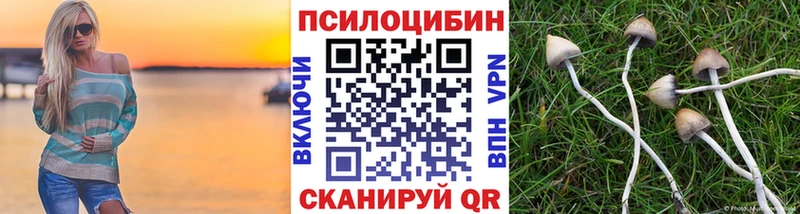 площадка телеграм  купить   Чудово  Галлюциногенные грибы Magic Shrooms 